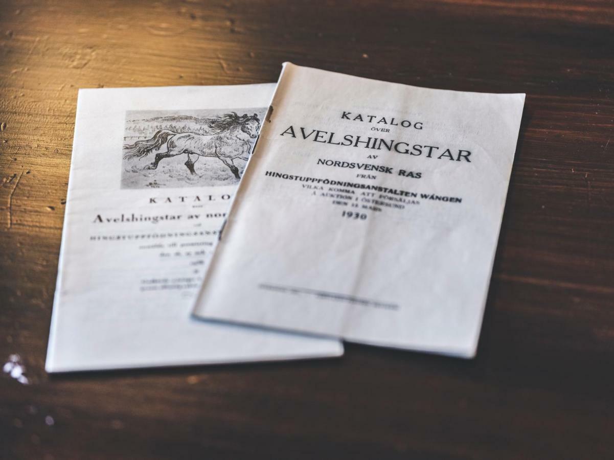 Wangens Waerdshus Hotel Alsen Bagian luar foto